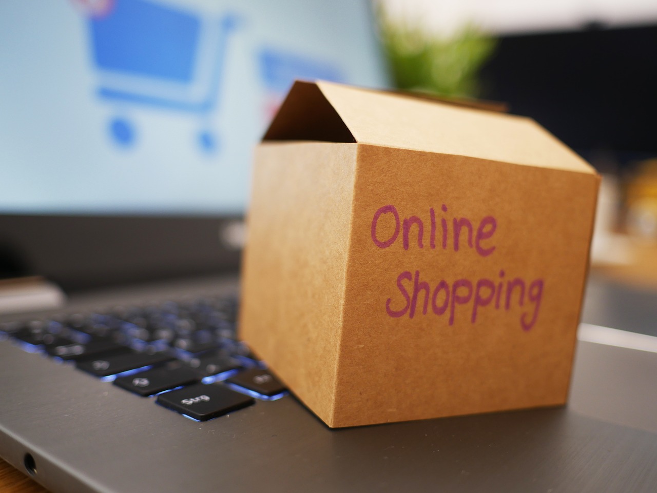 Digitalna trgovina za online kupnju